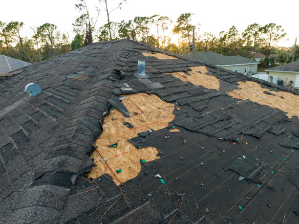 Best Emergency Roof Repair Services  in USA